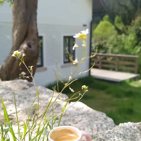 Antoniwald82 Chalet *